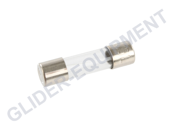 Glaszekering 5 x 20mm  1.0 Amp [D11078]